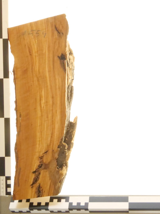 Olivenholz Epoxid Holz 3cm dick Servierbrett Brett 559