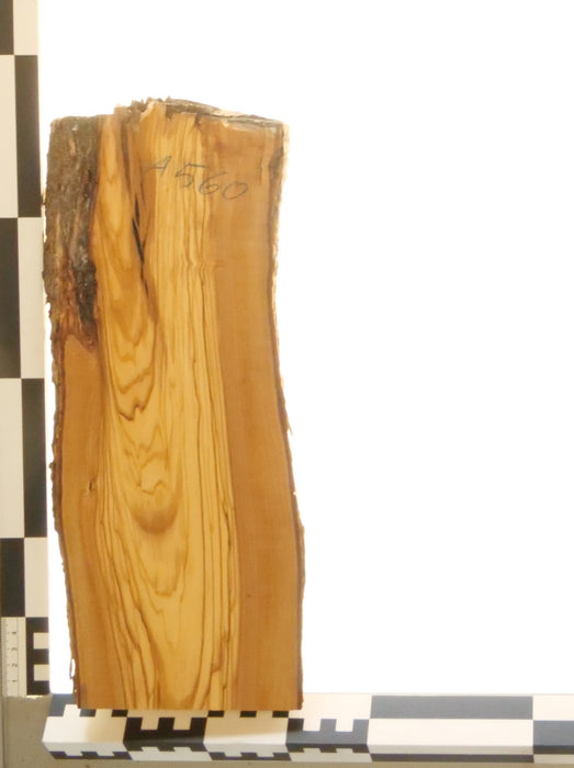 Olivenholz Epoxid Holz 3cm dick Servierbrett Brett 560
