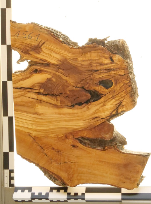 Olivenholz Epoxid Holz 3,3cm dick Servierbrett Brett 561