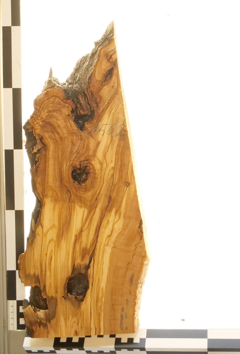 Olivenholz Epoxid Holz 3,4cm dick Servierbrett Brett 562