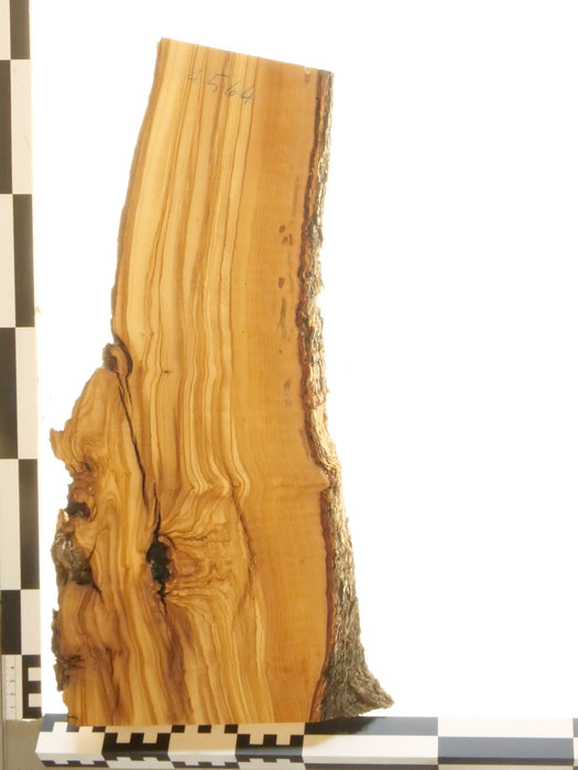 Olivenholz Epoxid Holz 3,2cm dick Servierbrett Brett 564