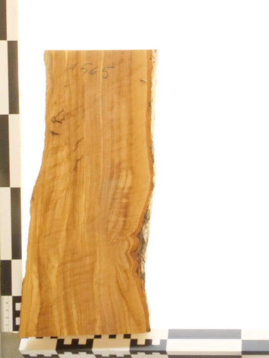 Olivenholz Epoxid Holz 3,2cm dick Servierbrett Brett 565