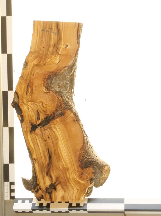 Olivenholz Epoxid Holz 3,3cm dick Servierbrett Brett 566