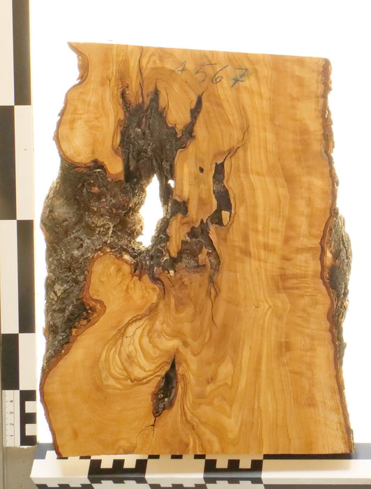 Olivenholz Epoxid Holz 3cm dick Servierbrett Brett 567