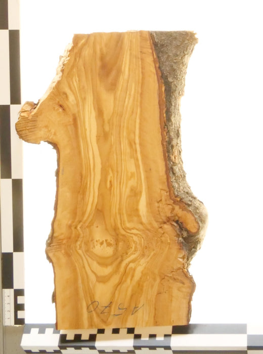 Olivenholz Epoxid Holz 2,8cm dick Servierbrett Brett 570