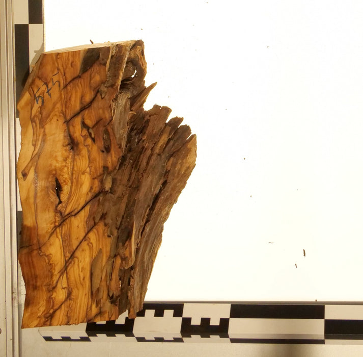 Olivenholz Epoxid Holz 5,5cm dick Servierbrett Brett 575