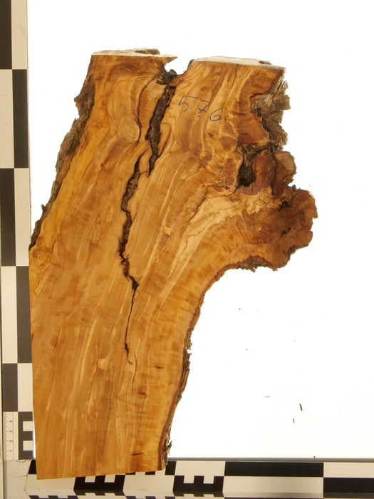 Olivenholz Epoxid Holz 4,6cm dick Servierbrett Brett 576