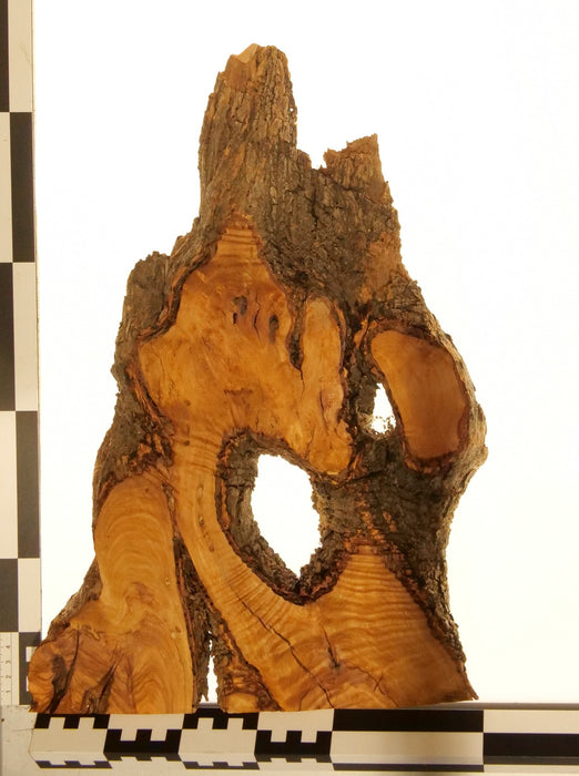 Olivenholz Epoxid Holz 2,5cm dick Servierbrett Brett 577