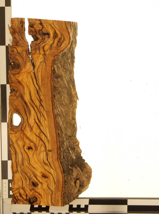 Olivenholz Epoxid Holz 5,3cm dick Servierbrett Brett 581
