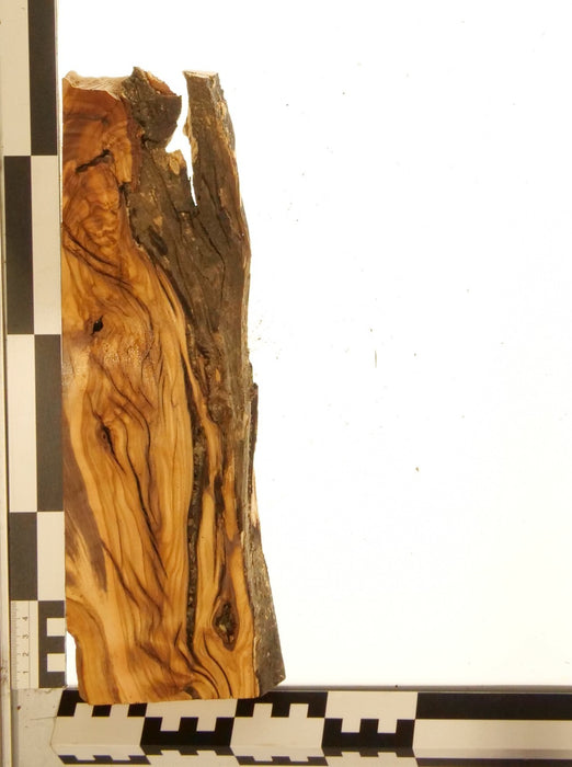Olivenholz Epoxid Holz 2,6cm dick Servierbrett Brett 582