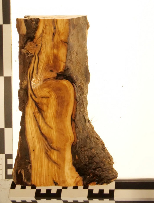 Olivenholz Epoxid Holz 5,5cm dick Servierbrett Brett 585