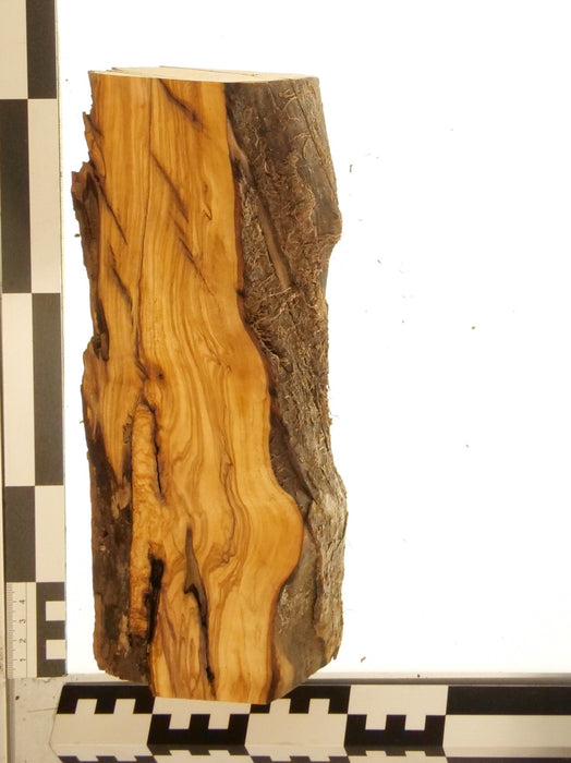 Olivenholz Epoxid Holz 5,4cm dick Servierbrett Brett 587