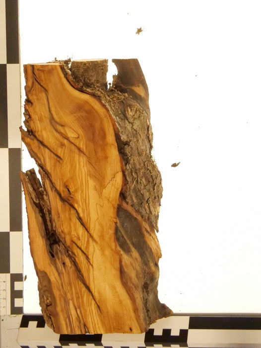 Olivenholz Epoxid Holz 5,5cm dick Servierbrett Brett 594