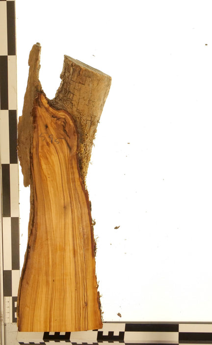 Olivenholz Epoxid Holz 5,3cm dick Servierbrett Brett 595