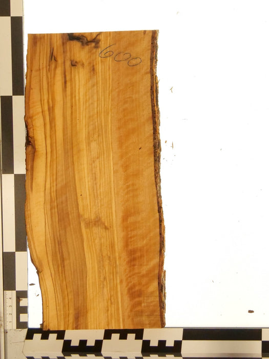Olivenholz Epoxid Holz 2,5cm dick Servierbrett Brett 600