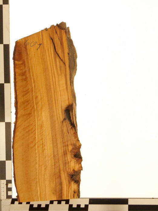 Olivenholz Epoxid Holz 2,3cm dick Servierbrett Brett 601