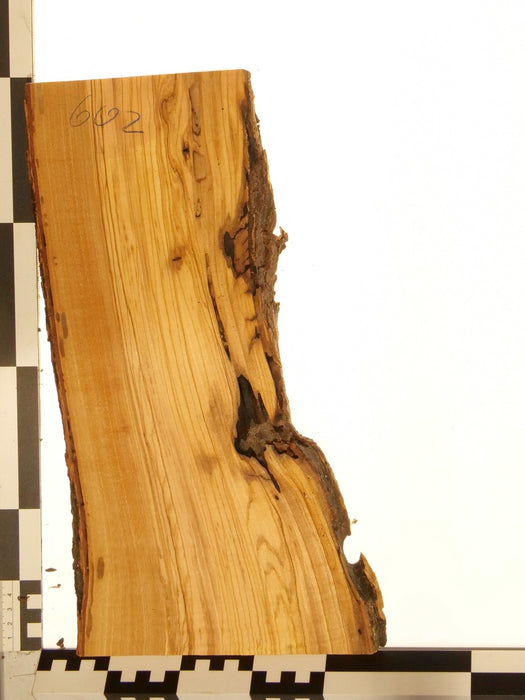 Olivenholz Epoxid Holz 3cm dick Servierbrett Brett 602