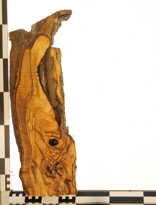 Olivenholz Epoxid Holz 5,3cm dick Servierbrett Brett 608