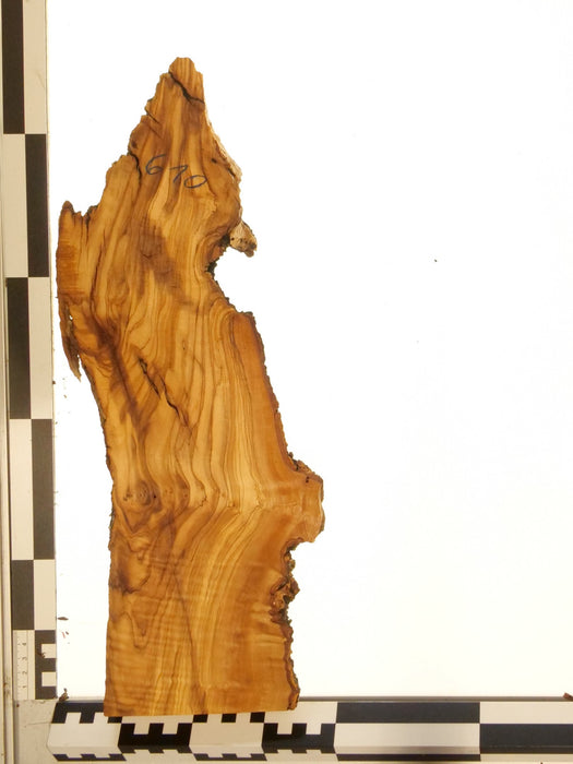 Olivenholz Epoxid Holz 3cm dick Servierbrett Brett 610