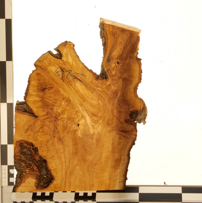 Olivenholz Epoxid Holz 3,3cm dick Servierbrett Brett 615