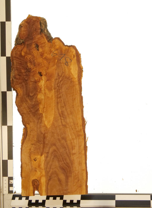 Olivenholz Epoxid Holz 3,3cm dick Servierbrett Brett 618