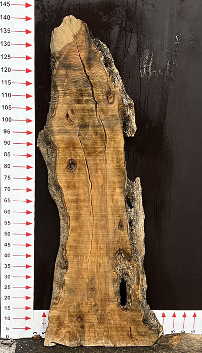 Olivenholz Epoxid Holz 4cm dick Servierbrett Brett B19