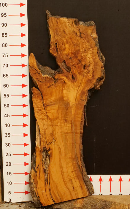 Olivenholz Epoxid Holz 3,7cm dick Servierbrett Brett A476