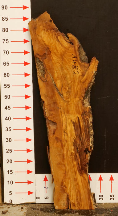 Olivenholz Epoxid Holz 3,8cm dick Servierbrett Brett A482