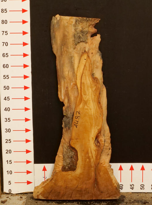 Olivenholz Epoxid Holz 3,5cm dick Servierbrett Brett A487