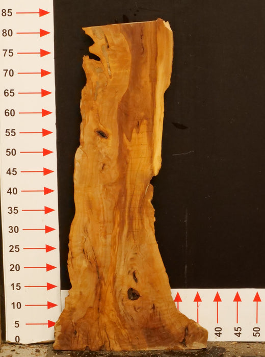 Olivenholz Epoxid Holz 3,5cm dick Servierbrett Brett A487