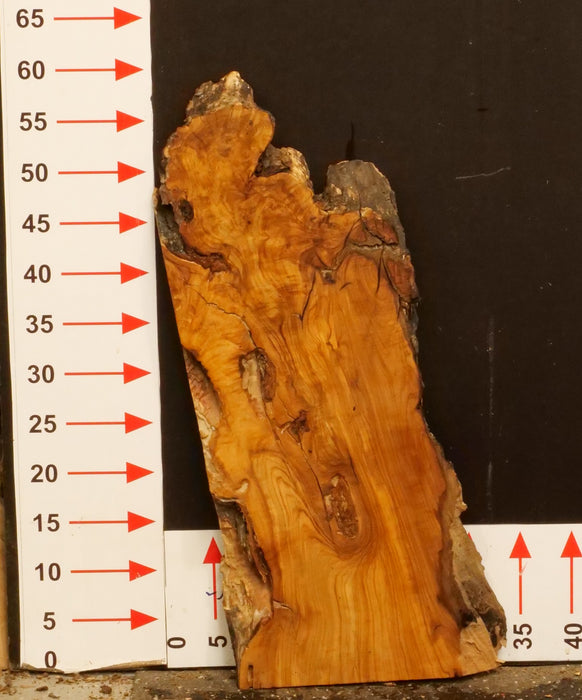 Olivenholz Epoxid Holz 3,7cm dick Servierbrett Brett A489