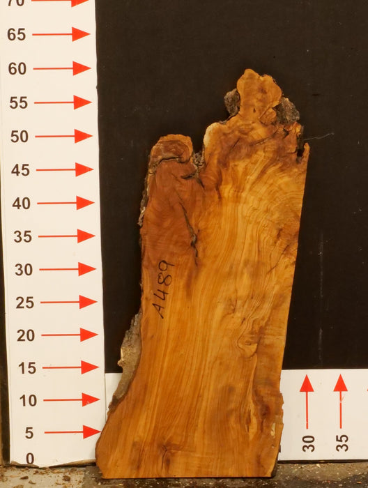 Olivenholz Epoxid Holz 3,7cm dick Servierbrett Brett A489