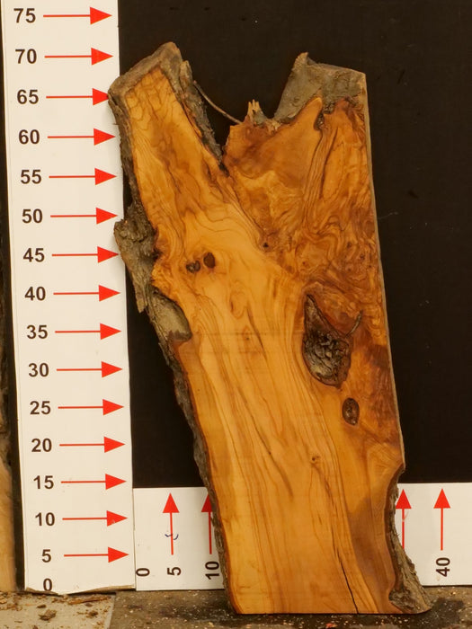 Olivenholz Epoxid Holz 3,7cm dick Servierbrett Brett A497