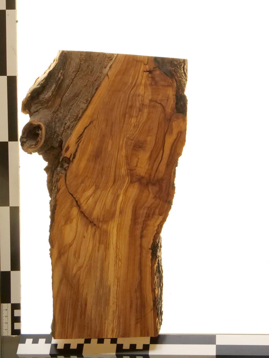 Olivenholz Epoxid Holz 3,4 cm dick Servierbrett Brett 547