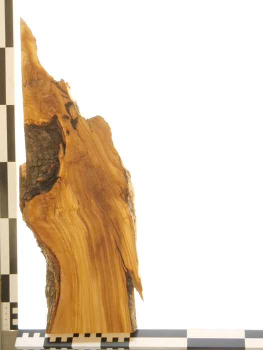 Olivenholz Epoxid Holz 2,6cm dick Servierbrett Brett 556