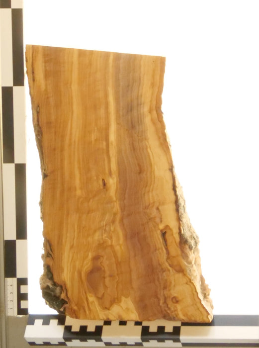 Olivenholz Epoxid Holz 3,3cm dick Servierbrett Brett 558