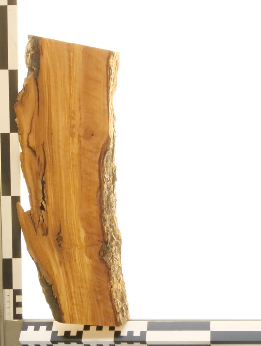 Olivenholz Epoxid Holz 3cm dick Servierbrett Brett 559
