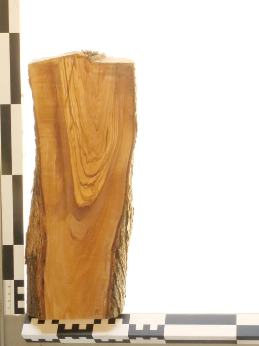 Olivenholz Epoxid Holz 3cm dick Servierbrett Brett 560