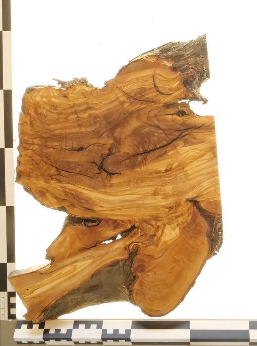 Olivenholz Epoxid Holz 3,3cm dick Servierbrett Brett 561