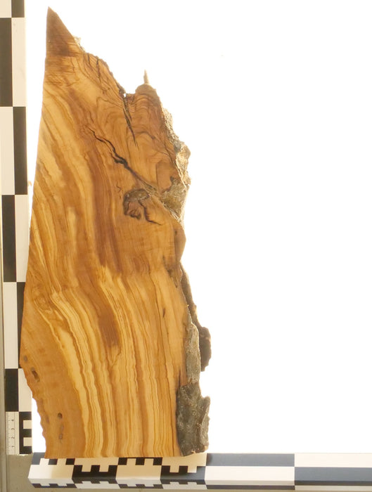 Olivenholz Epoxid Holz 3,4cm dick Servierbrett Brett 562
