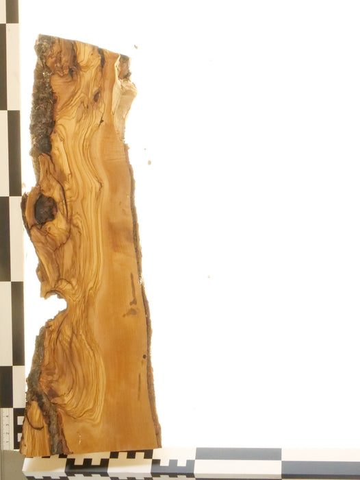 Olivenholz Epoxid Holz 2,8cm dick Servierbrett Brett 563