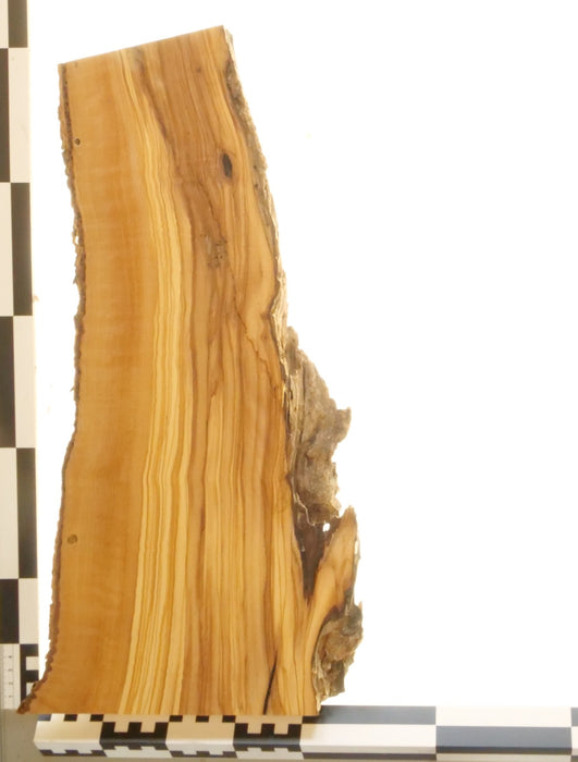 Olivenholz Epoxid Holz 3,2cm dick Servierbrett Brett 564