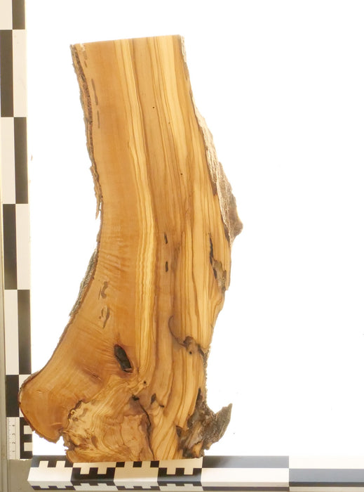 Olivenholz Epoxid Holz 3,3cm dick Servierbrett Brett 566