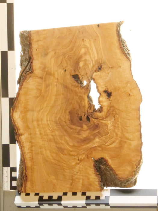Olivenholz Epoxid Holz 3cm dick Servierbrett Brett 567