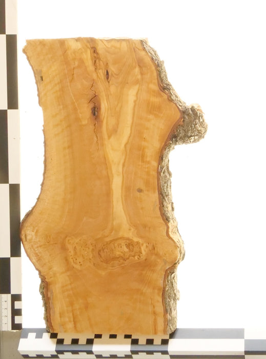 Olivenholz Epoxid Holz 2,8cm dick Servierbrett Brett 570