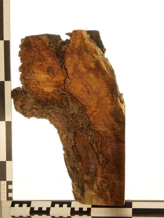 Olivenholz Epoxid Holz 4,6cm dick Servierbrett Brett 576