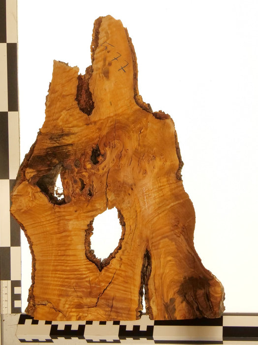 Olivenholz Epoxid Holz 2,5cm dick Servierbrett Brett 577
