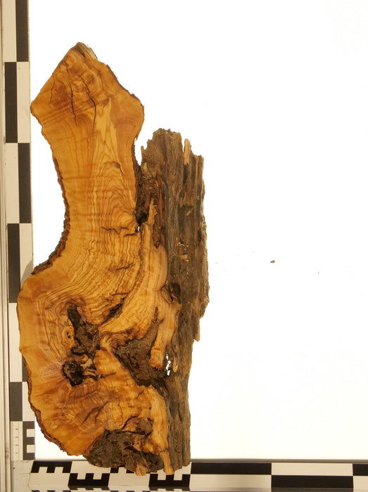 Olivenholz Epoxid Holz 5,5cm dick Servierbrett Brett 578