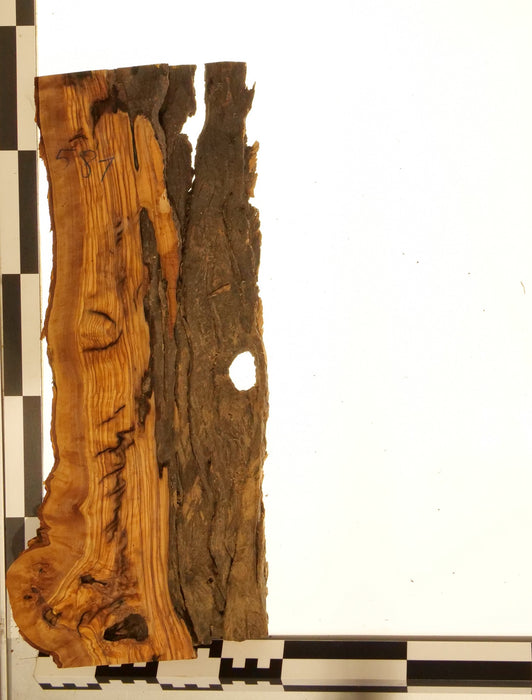 Olivenholz Epoxid Holz 5,3cm dick Servierbrett Brett 581