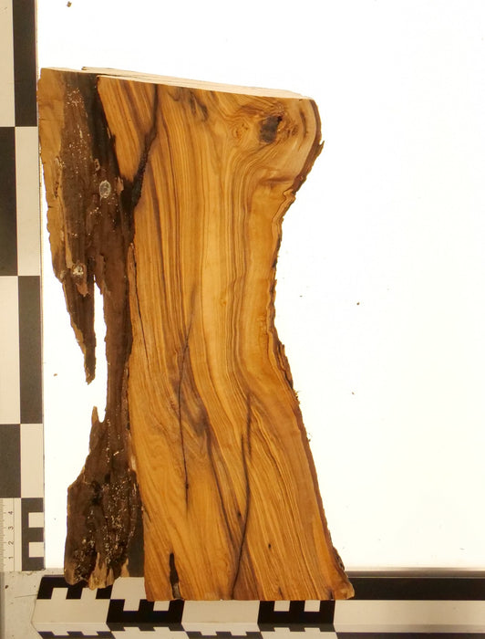 Olivenholz Epoxid Holz 5cm dick Servierbrett Brett 586